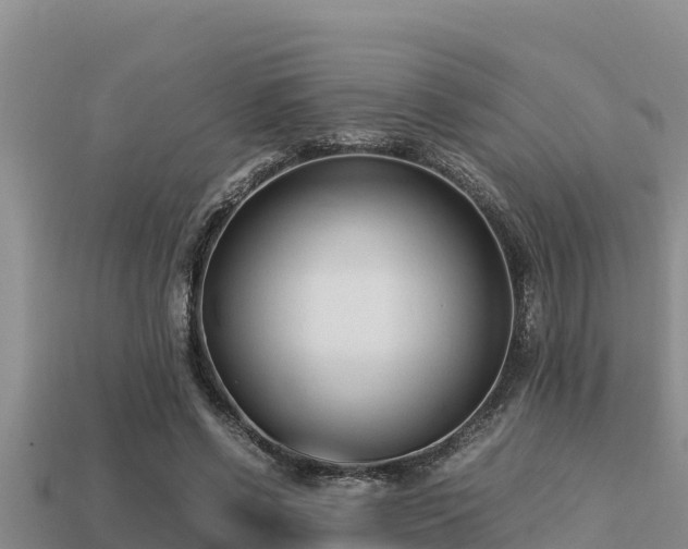 X0000113210542200909171536