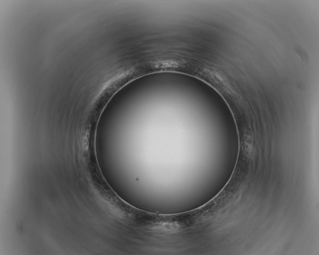 X0000113210543200909171536