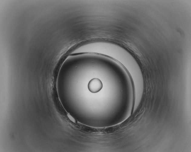 X0000113210544200909171536