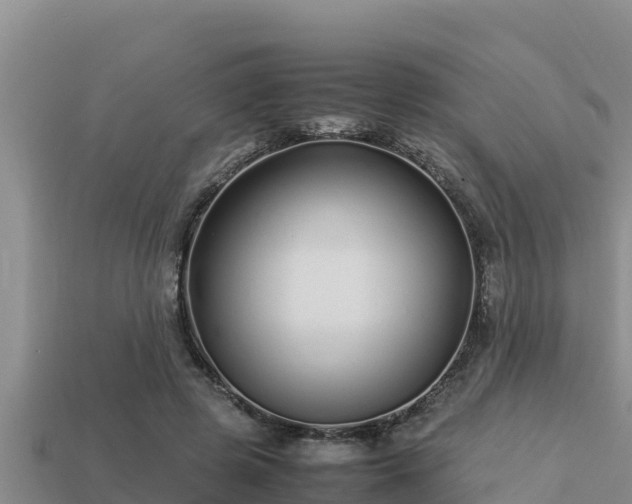 X0000113210545200909171536