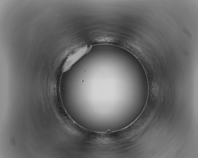 X0000113210547200909171536