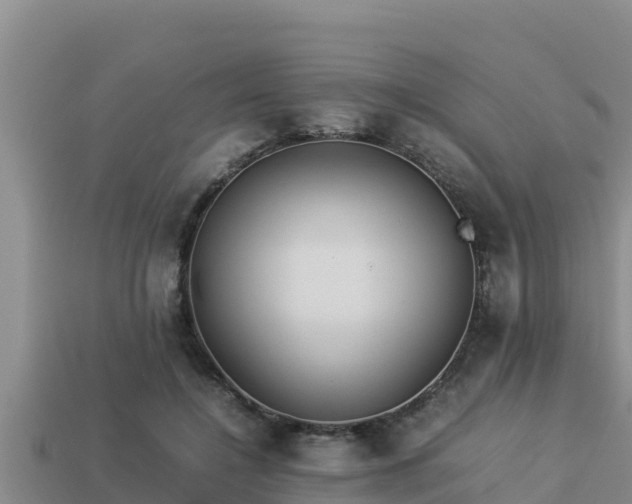 X0000113210548200909171536