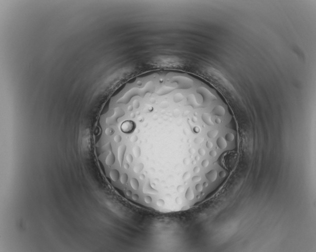 X0000113210549200909171536