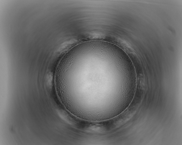 X0000113210550200909171536