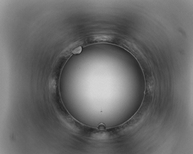 X0000113210551200909171536