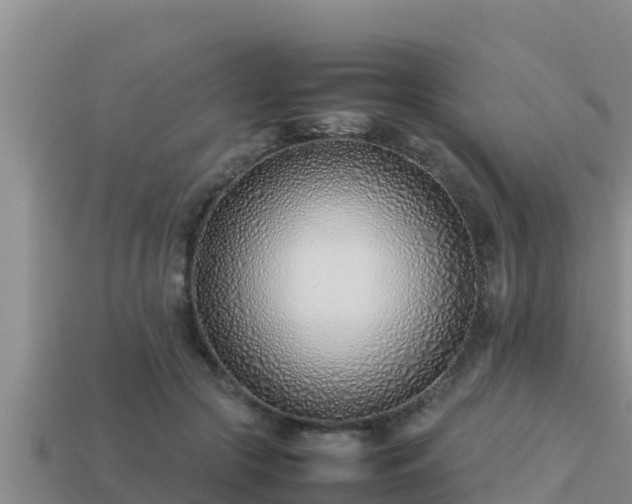 X0000113210553200909171536