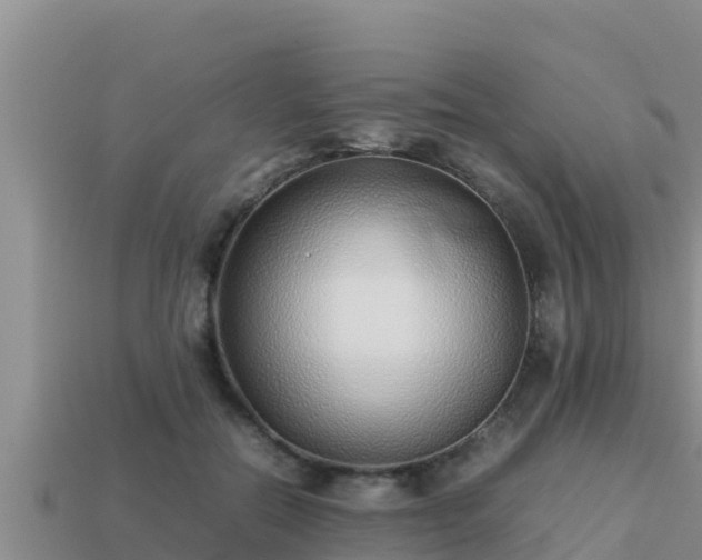 X0000113210554200909171536