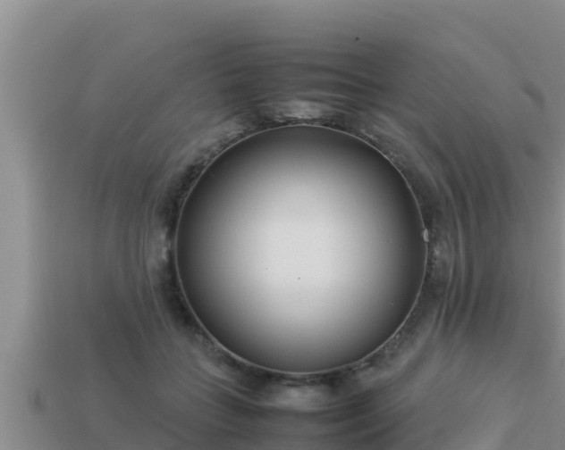 X0000113210555200909171536