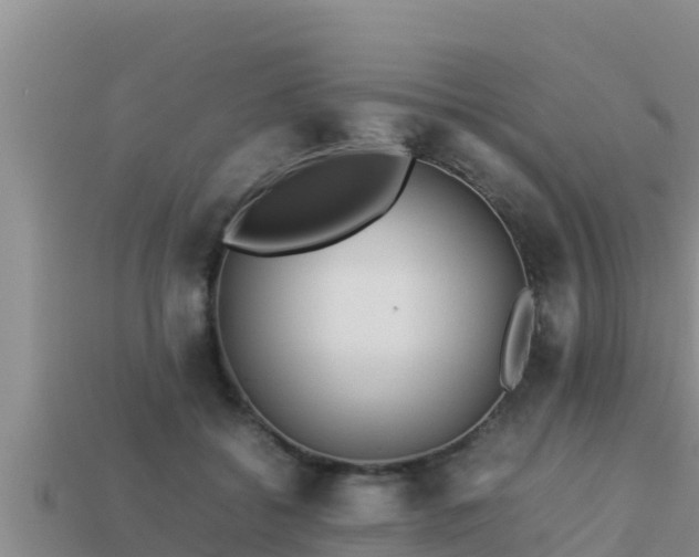 X0000113210556200909171536