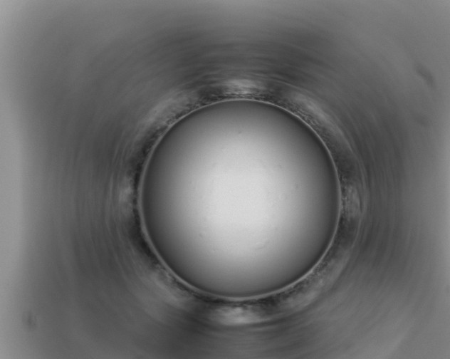 X0000113210557200909171536