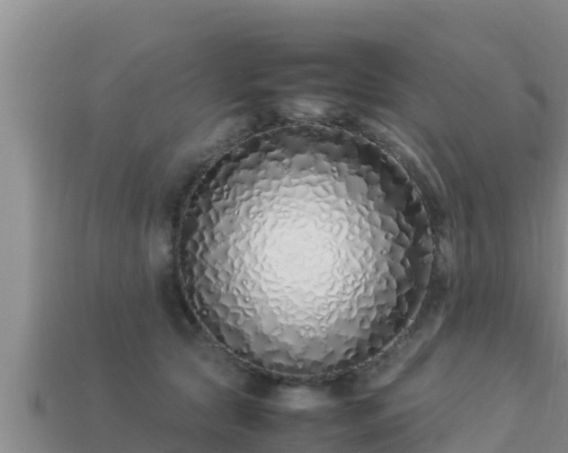 X0000113210561200909171537