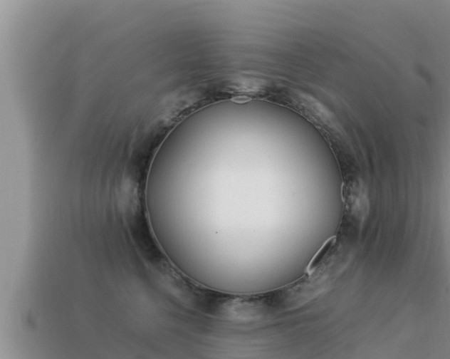 X0000113210568200909171537