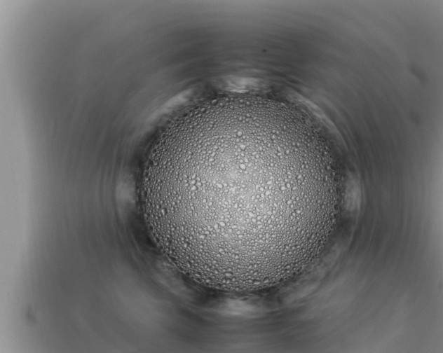 X0000113210569200909171537