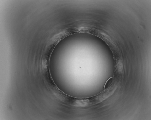 X0000113210571200909171537