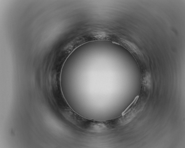 X0000113210572200909171537