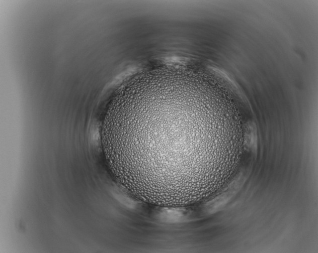 X0000113210573200909171537