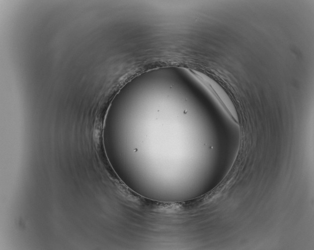 X0000113210576200909171537