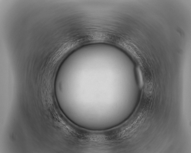 X0000113210577200909171536