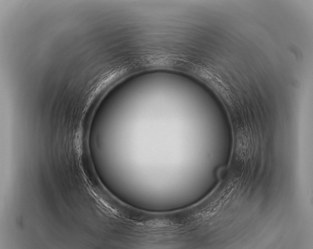 X0000113210578200909171536