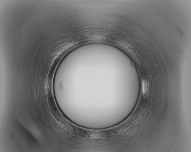 X0000113210579200909171536