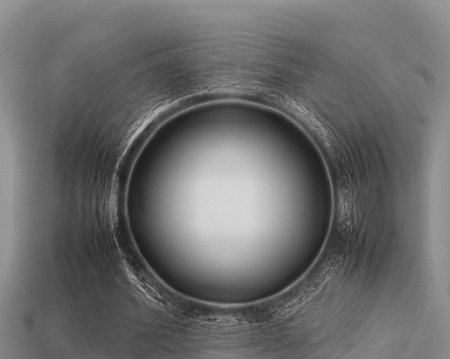 X0000113210580200909171536