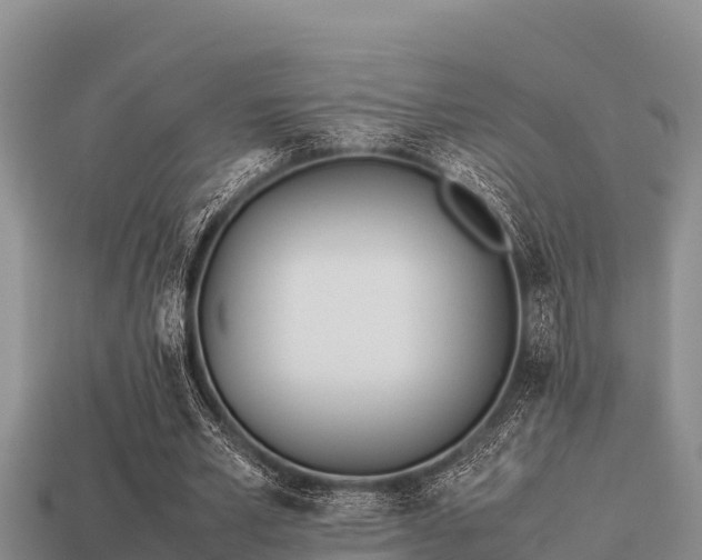 X0000113210581200909171536