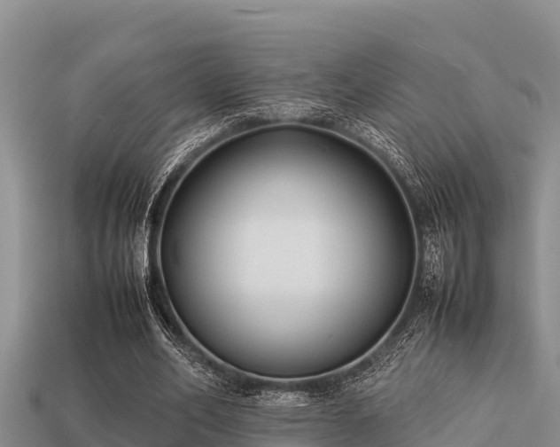 X0000113210582200909171536