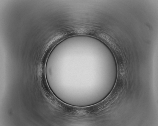 X0000113210583200909171536