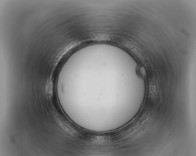 X0000113210584200909171536