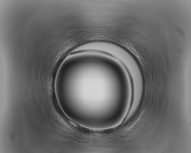 X0000113210585200909171536