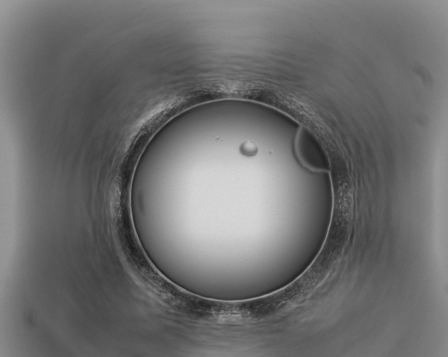 X0000113210587200909171536