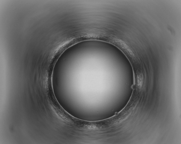 X0000113210588200909171536