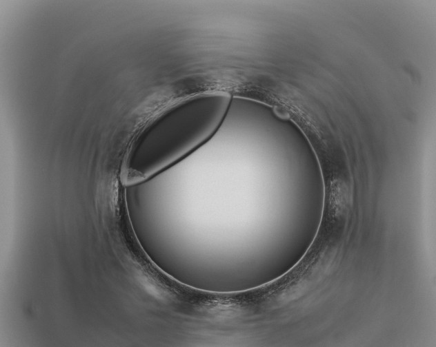 X0000113210589200909171536