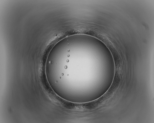 X0000113210591200909171536