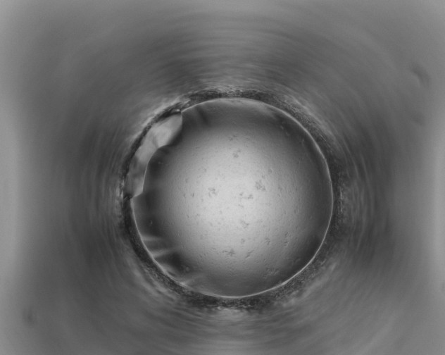 X0000113210592200909171536