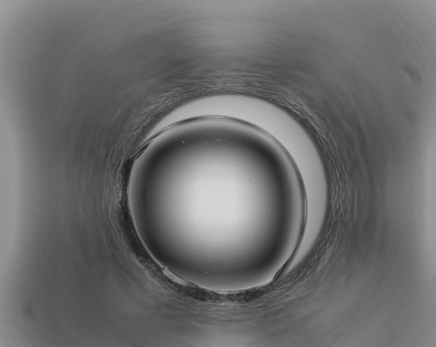 X0000113210593200909171536