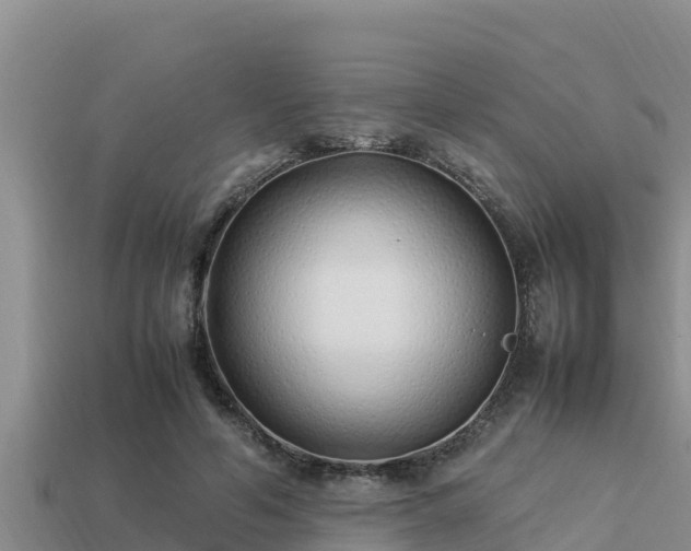 X0000113210594200909171536