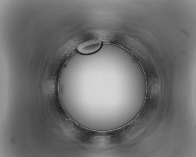 X0000113210595200909171536