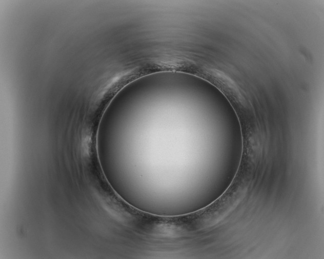 X0000113210596200909171536