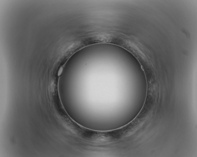 X0000113210597200909171536