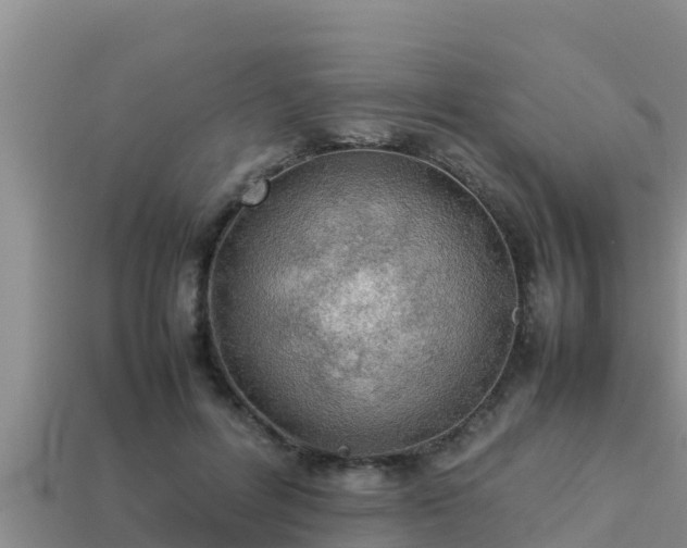 X0000113210600200909171536