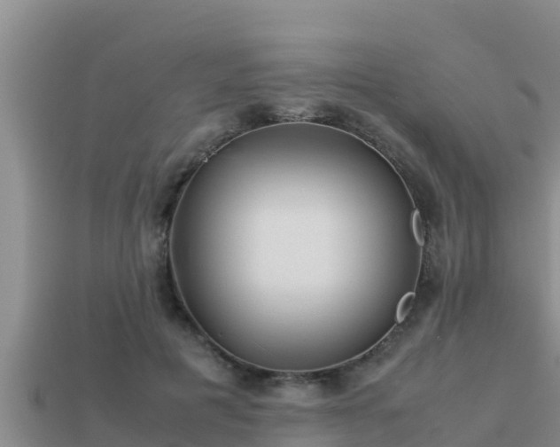 X0000113210601200909171536