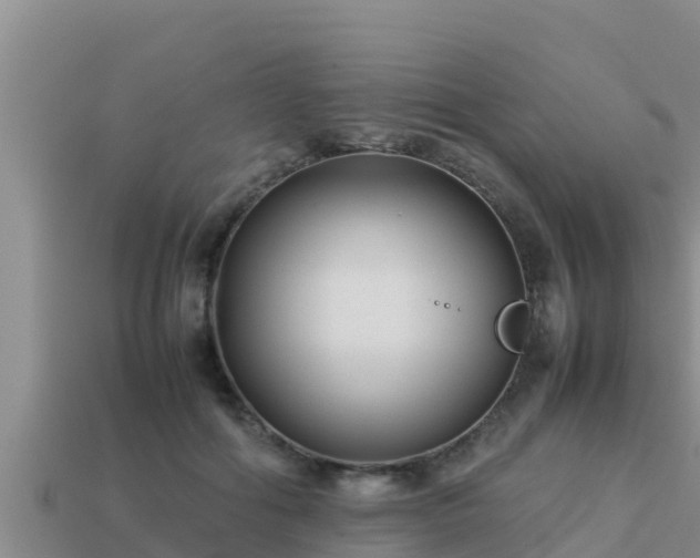 X0000113210602200909171536