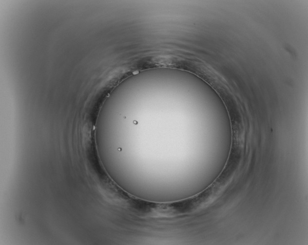 X0000113210603200909171536