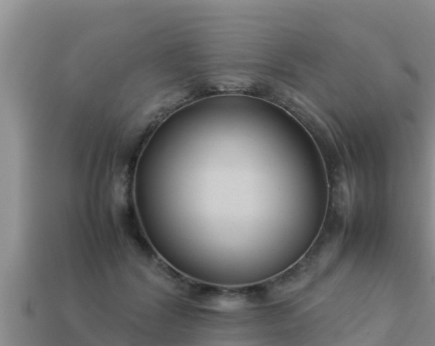 X0000113210604200909171536