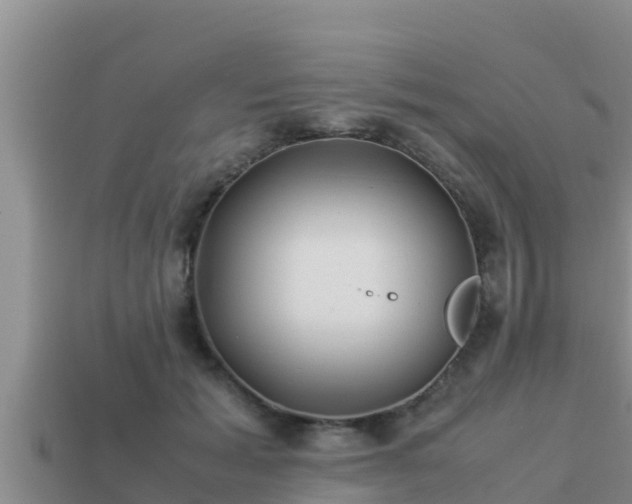 X0000113210605200909171536