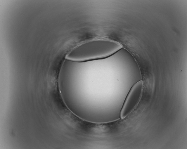 X0000113210609200909171536