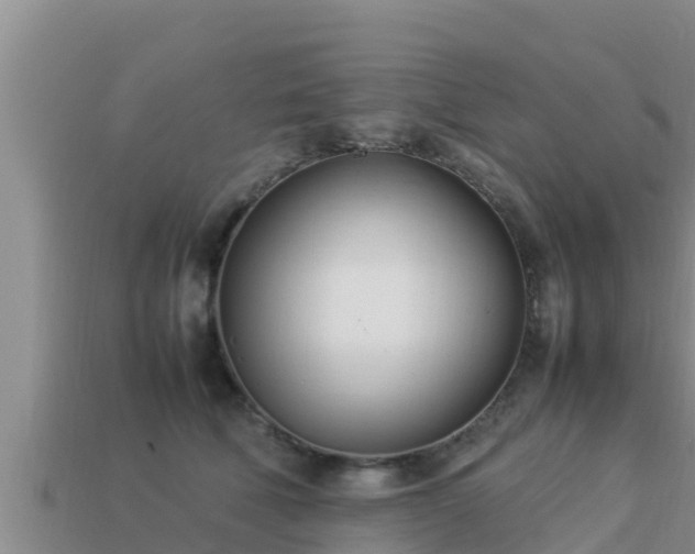 X0000113210610200909171536