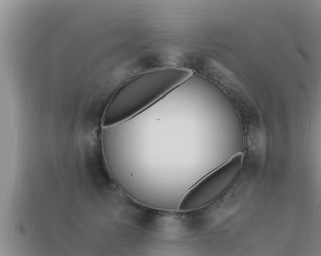 X0000113210611200909171536