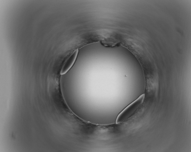 X0000113210613200909171535